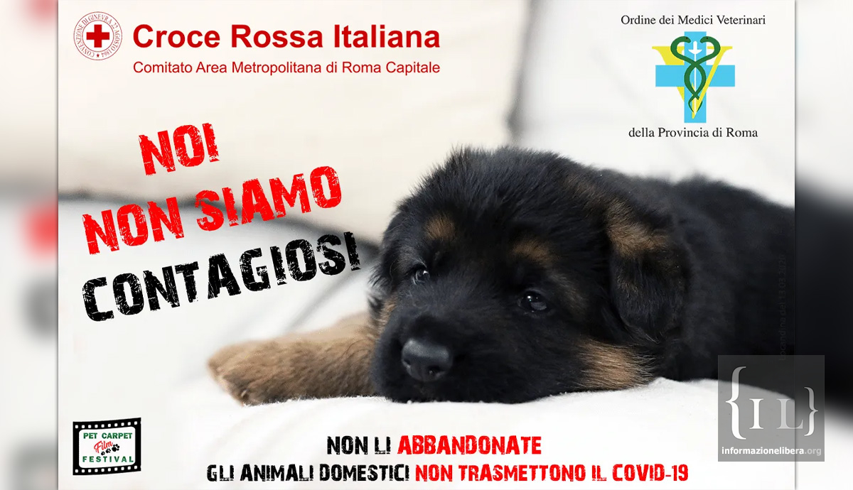 #NOINONSIAMOCONTAGIOSI. Parte la Campagna contro l'abbandono di animali per il #COVID-19